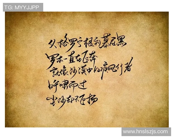 天下足球久别重逢解说带你重温经典赛事激情与回忆