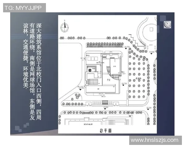深圳排球队个人能力分析与表现评估研究报告