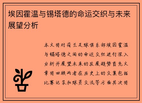 埃因霍温与锡塔德的命运交织与未来展望分析